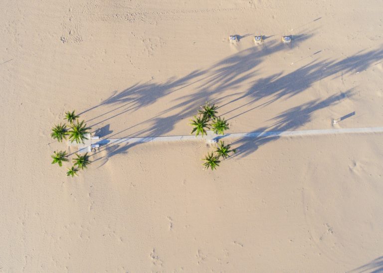 lance asper kOgA8R2sz3U unsplash